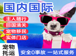 昆冈国际宠物托运 【国